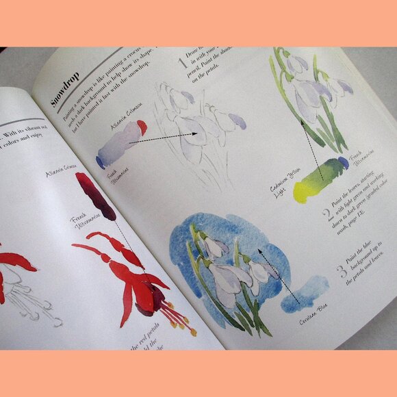 Book - You Can Paint Watercolors: A Step-By-Step Guide for Absolute Beginners - Picture 3 of 15